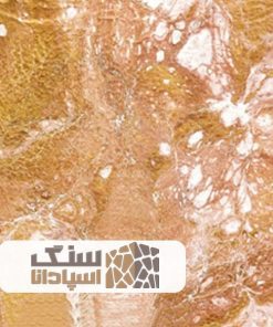 سنگ مرمریت داینو
